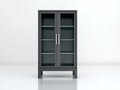 Buecherregal Glas Metall 80x40x180 cm Dunkelgrau - Modernes Industrial Design Vitrine mit 2 Tueren Wohnzimmer Schlafzimmer Aufbewahrung