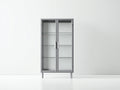 Buecherregal Glas Metall 80x35x180 cm Grau - Modernes Industrial Design Vitrine 2 Tueren Wohnzimmer Schlafzimmer Aufbewahrung